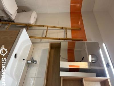 Appartement - 20 m² - 1 pièce