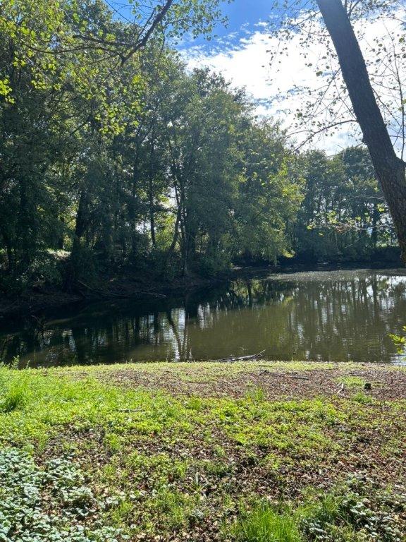 Propriété - 8 200 m² - 1 pièce