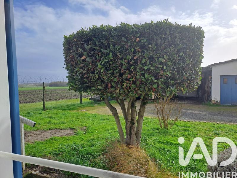 Maison - 65 m² - 3 pièces