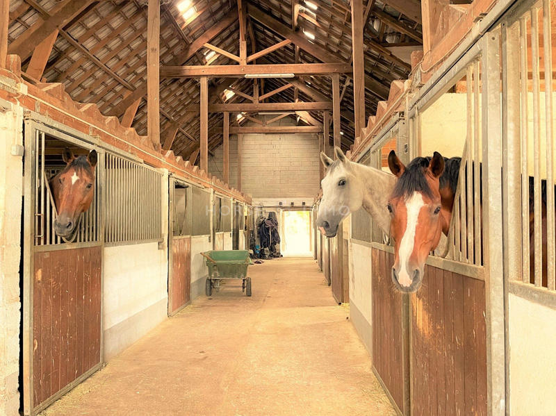 Maison - 240 m² - 6 pièces