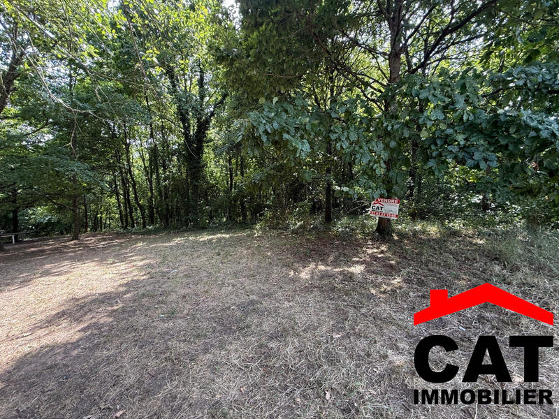 Terrain de loisirs - 3 785 m²