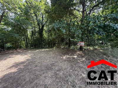 Terrain de loisirs - 3 785 m²