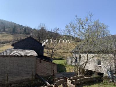 Maison - 290 m² - 13 pièces