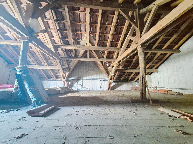 Viager - Maison - 130 m² - 7 pièces