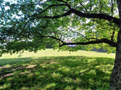 Terrain constructible - 1 644 m²