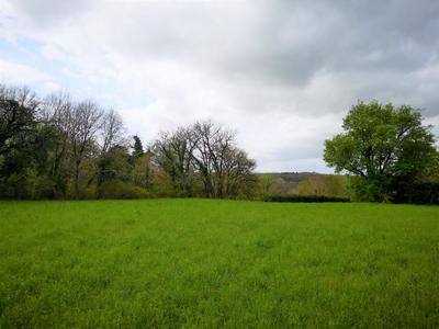 Terrain constructible - 4 695 m²