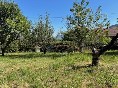 Terrain - 460 m²