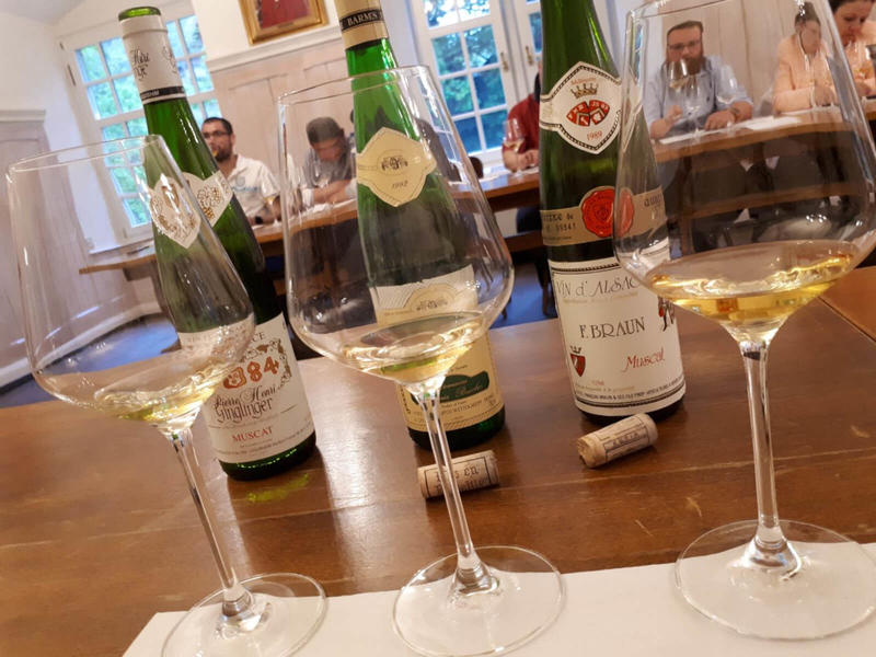 Atelier - Initiation à la dégustation