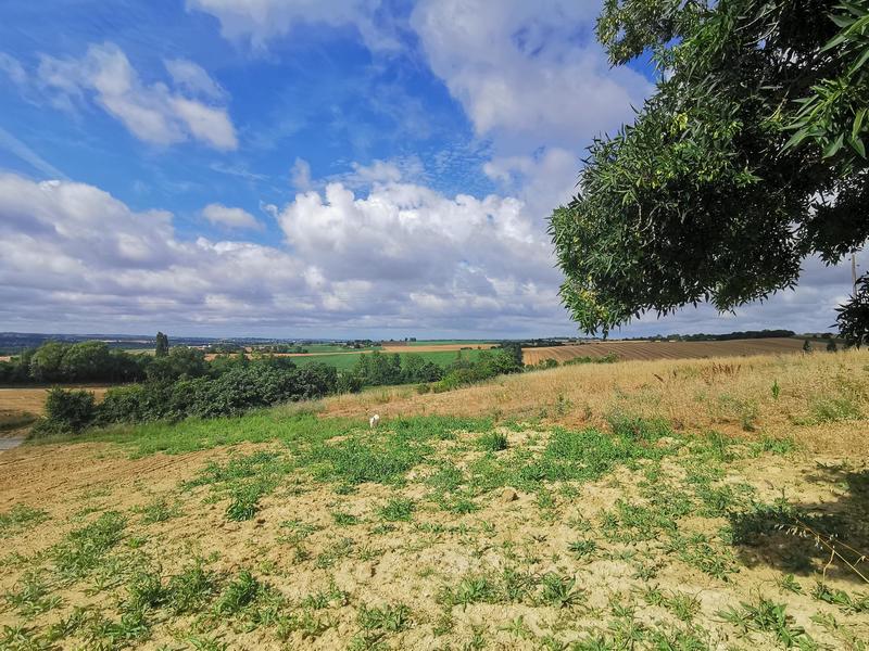 Terrain constructible - 800 m²