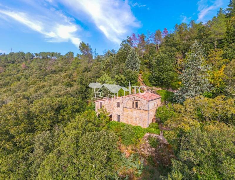 Maison en pierre - 64 m² - 4 pièces