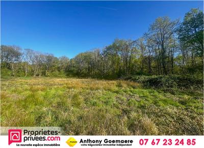 Terrain constructible - 6 804 m²