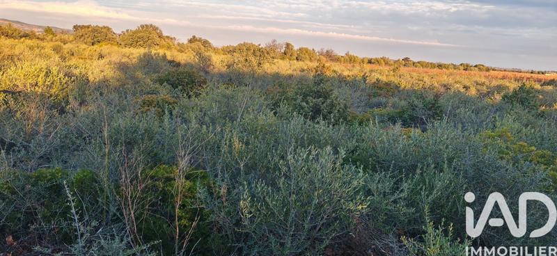 Terrain agricole - 3 135 m²