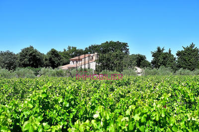 Maison - 135 m² - 4 pièces