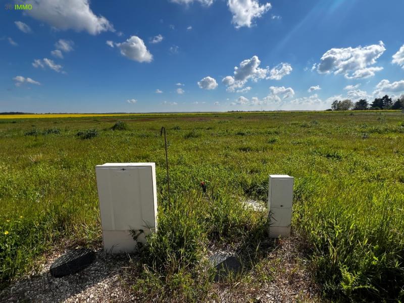 Terrain constructible - 1 335 m²