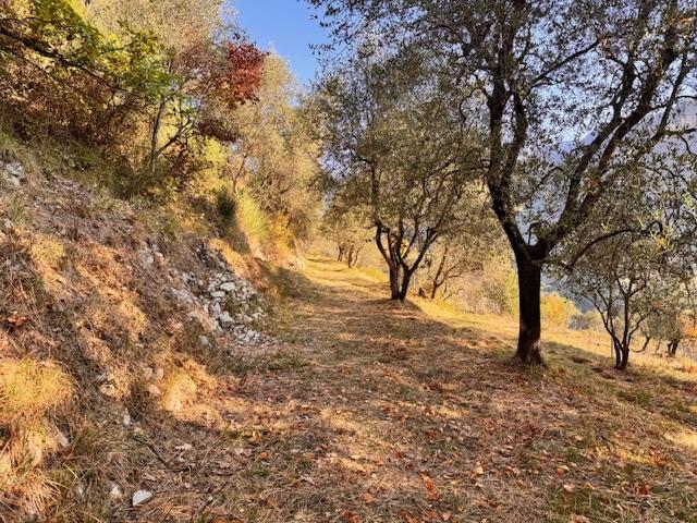 Maison - 46 m² - 2 pièces