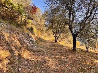 Maison - 46 m² - 2 pièces