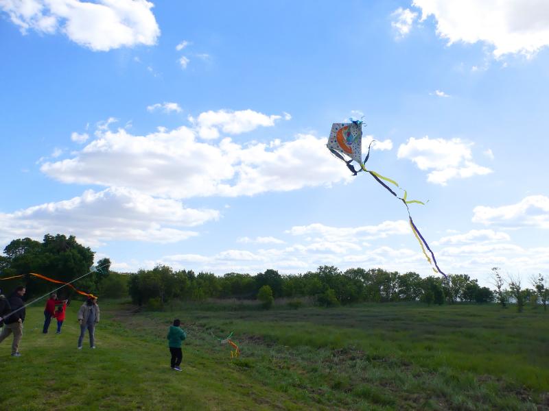 Confection d'un cerf-volant à Terres d'Oiseaux