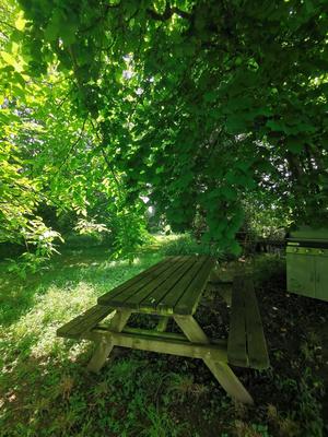 Maison - 536 m² - 15 pièces