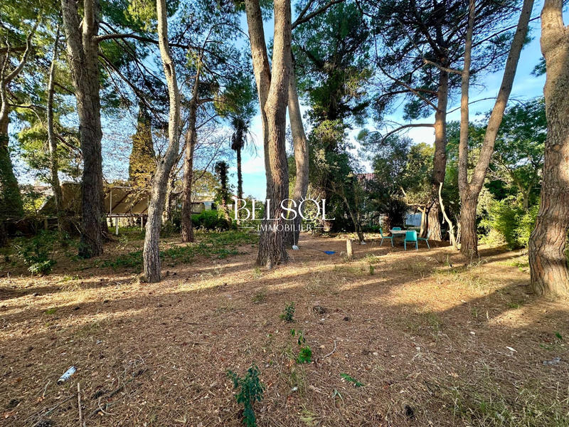 Maison - 205 m² - 6 pièces