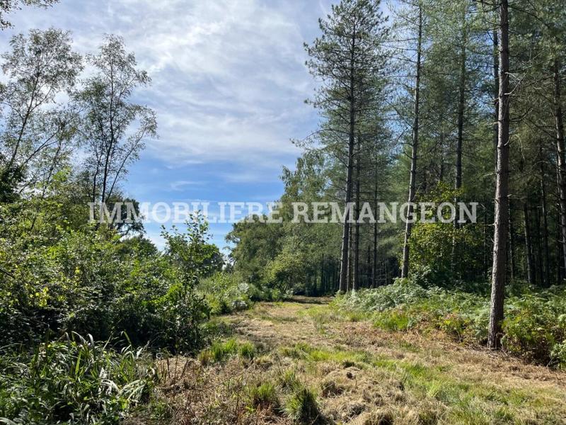 Demeure - 377 m² - 13 pièces