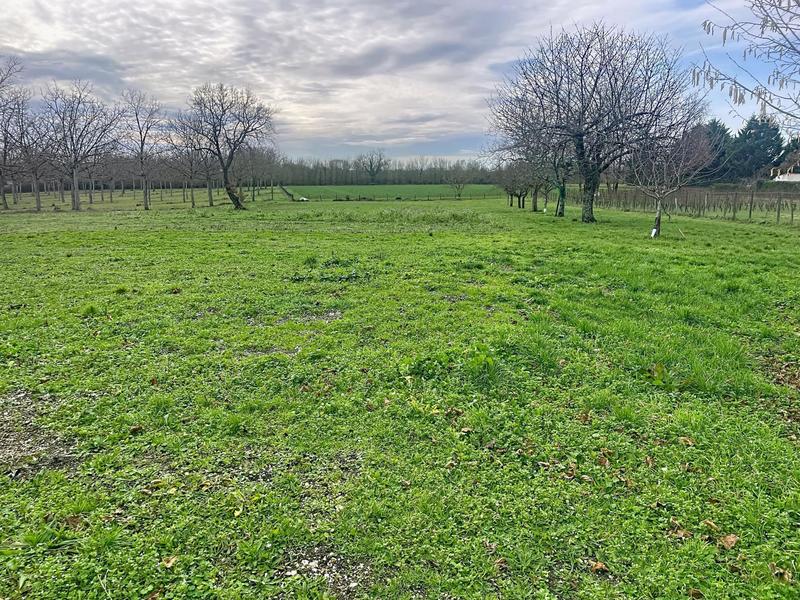 Maison - 115 m² - 3 pièces