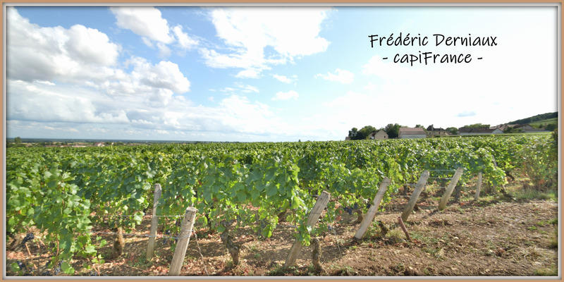 Maison - 205 m² - 8 pièces