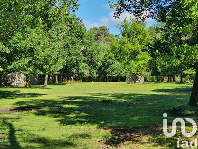 Terrain - 18 671 m²