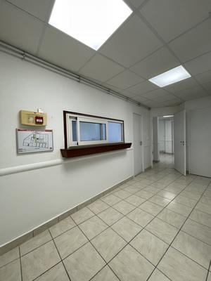 Bureau - 250 m²