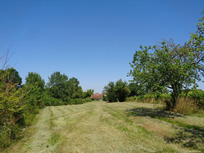 Ferme - 45 m² - 1 pièce