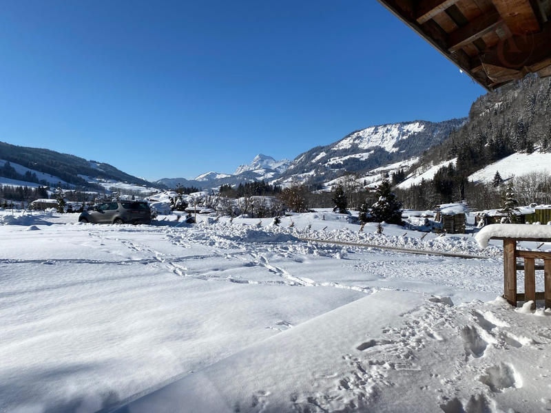 Châlet - 300 m² - 8 pièces