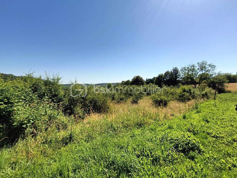 Terrain industriel - 5 771 m²