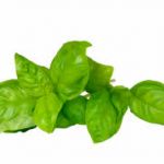 Cabinet de diététique