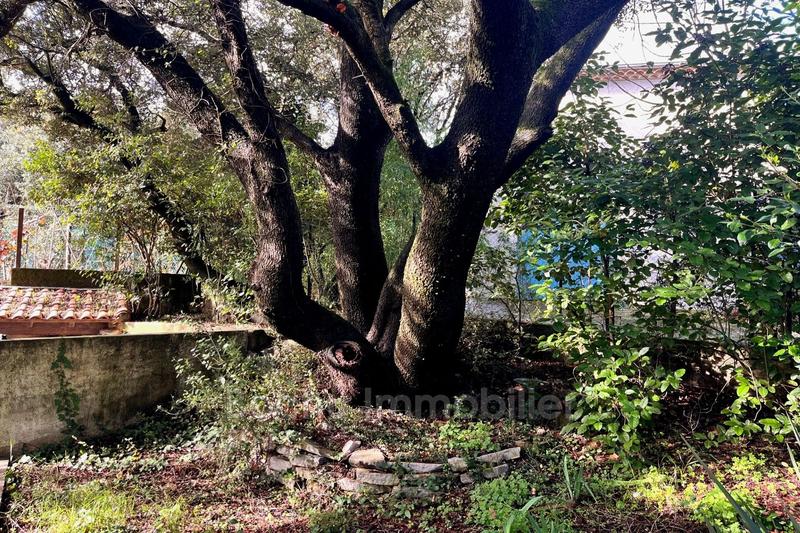 Maison - 187 m² - 6 pièces