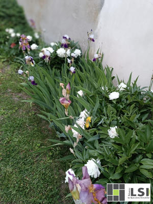 Maison - 208 m² - 10 pièces