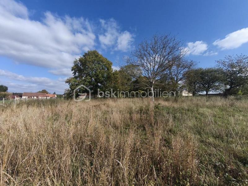 Terrain constructible - 1 115 m²