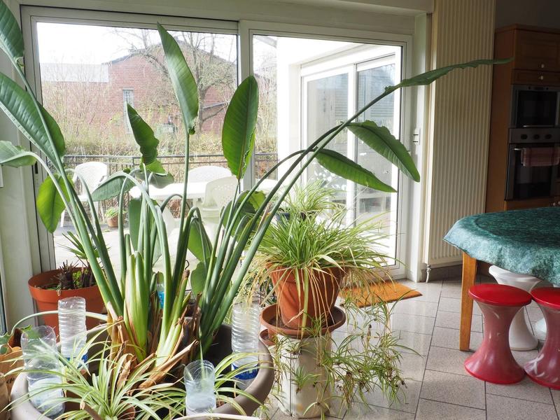 Maison - 129 m² - 6 pièces