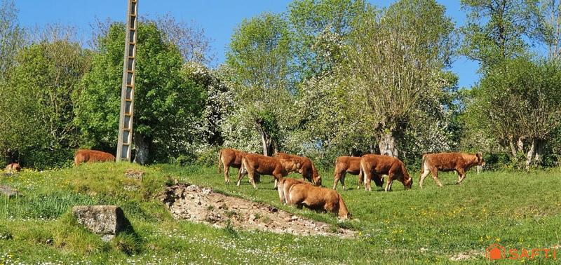 Maison - 330 m² - 15 pièces