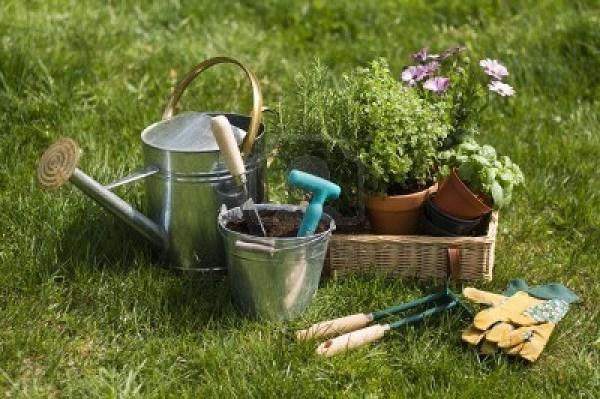 Espace-vert paysagiste Agen