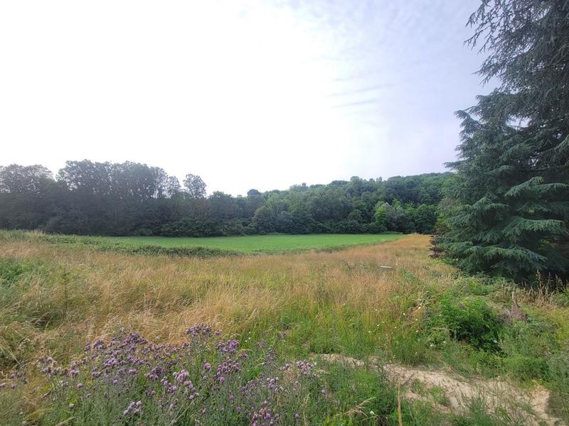 Terrain constructible - 1 193 m²