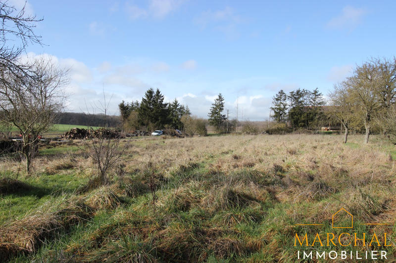 Appartement - 128 m² - 5 pièces