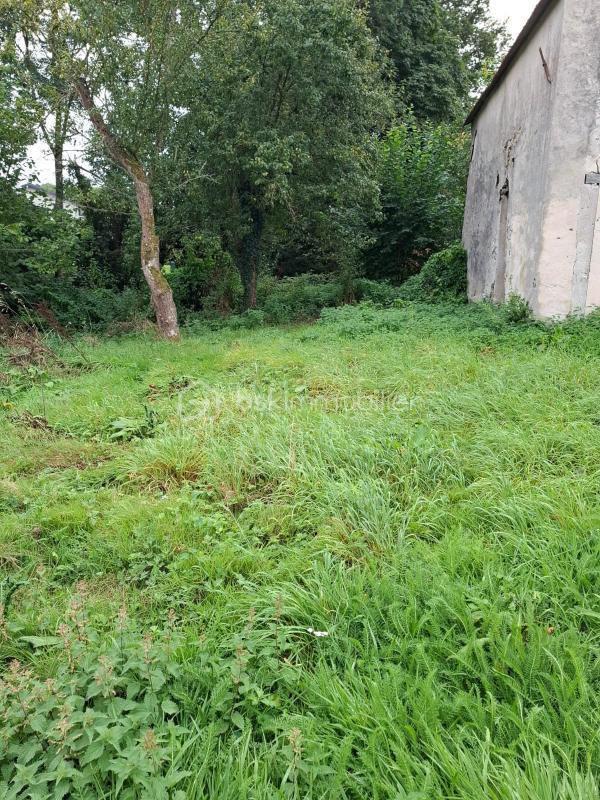 Grange - 41 m² - 1 pièce