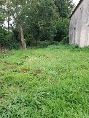 Grange - 41 m² - 1 pièce