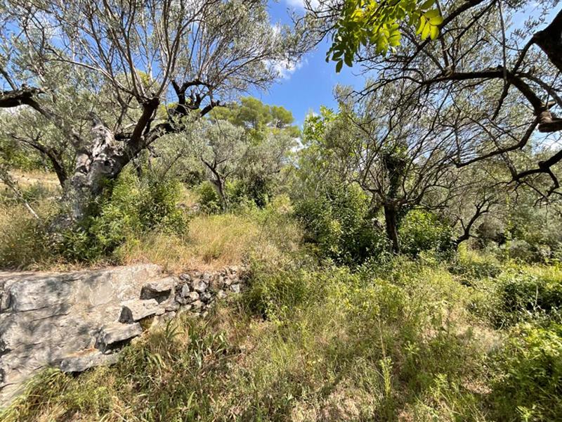 Terrain constructible - 3 015 m²