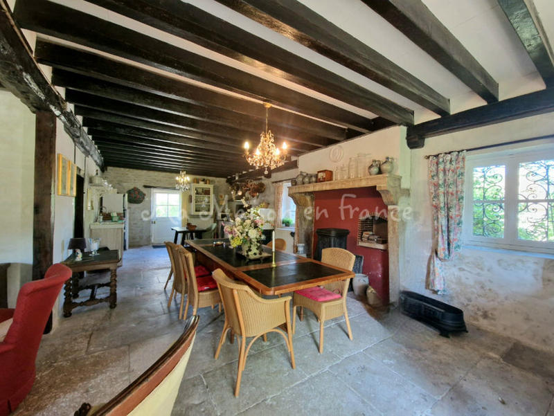 Château - 395 m² - 12 pièces