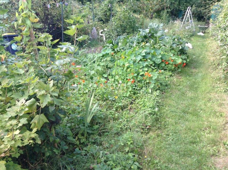 Maison - 126 m² - 5 pièces