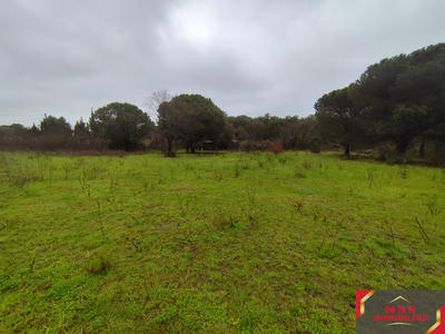Terrain agricole - 5 200 m²