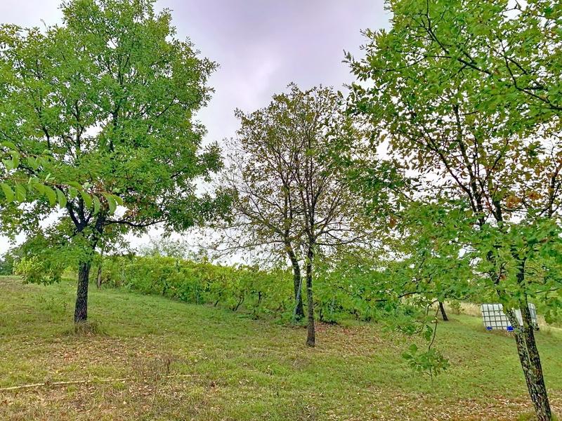 Maison ancienne - 201 m² - 5 pièces