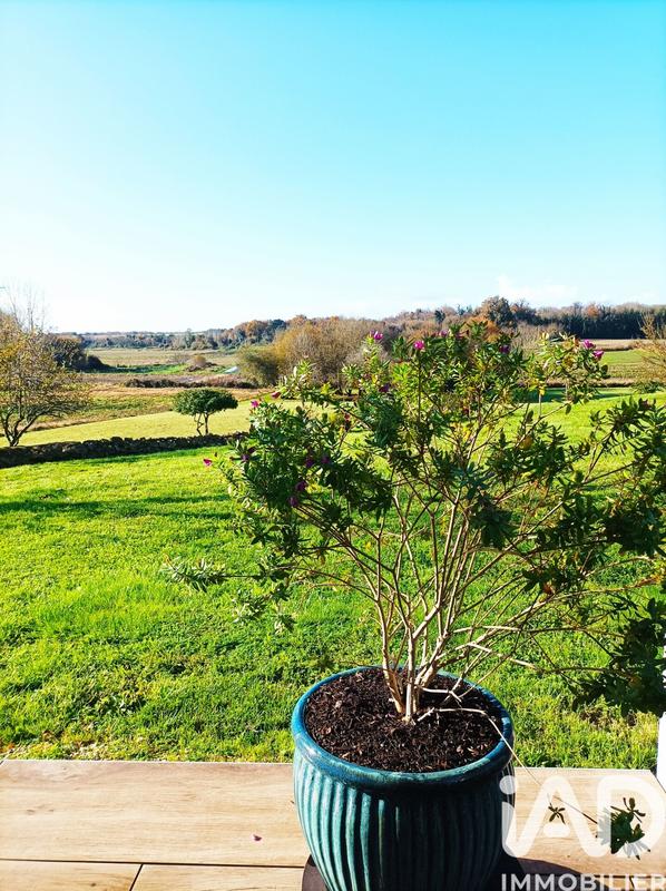 Maison de maîtres - 230 m² - 7 pièces