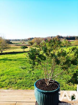 Maison de maîtres - 230 m² - 7 pièces