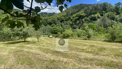 Terrain - 800 m²